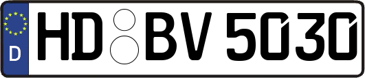 HD-BV5030