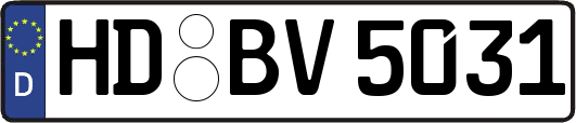HD-BV5031