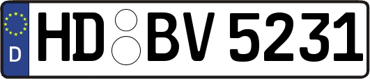 HD-BV5231