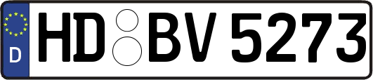 HD-BV5273