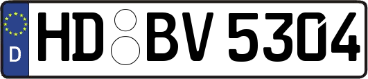 HD-BV5304