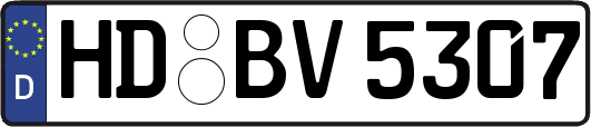 HD-BV5307