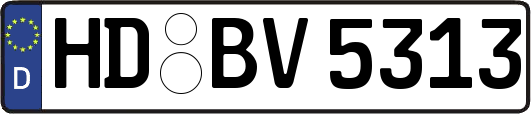 HD-BV5313