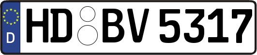 HD-BV5317