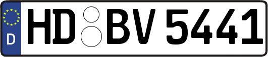 HD-BV5441