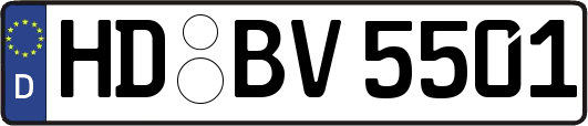 HD-BV5501