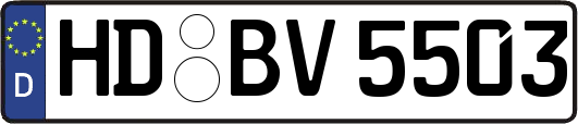 HD-BV5503