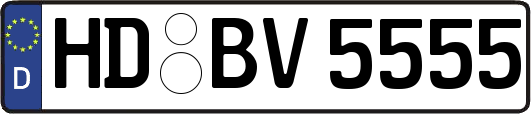 HD-BV5555