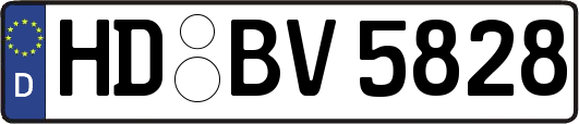 HD-BV5828