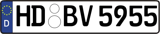 HD-BV5955
