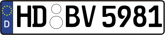 HD-BV5981