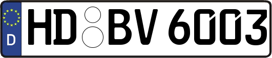 HD-BV6003