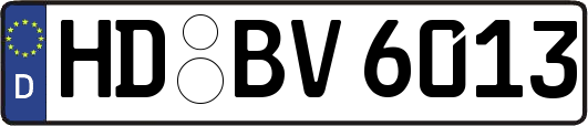 HD-BV6013