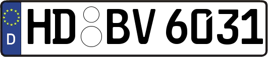 HD-BV6031