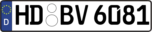HD-BV6081