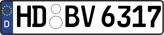 HD-BV6317