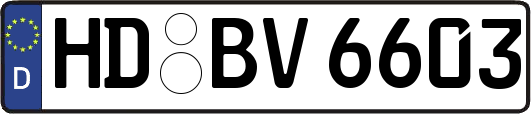 HD-BV6603