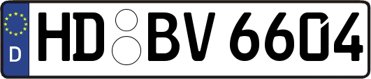 HD-BV6604