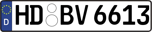 HD-BV6613