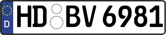 HD-BV6981