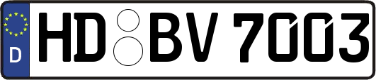 HD-BV7003