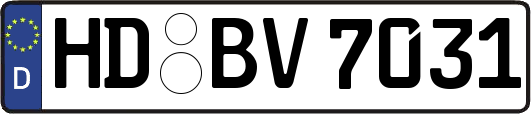 HD-BV7031