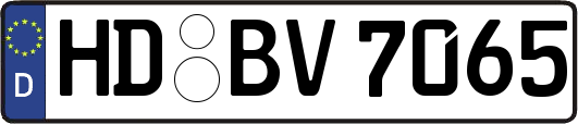 HD-BV7065