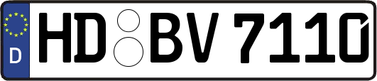 HD-BV7110