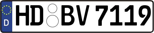 HD-BV7119
