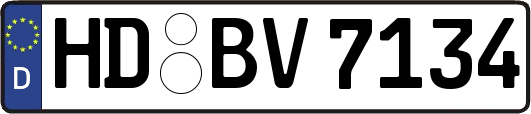 HD-BV7134