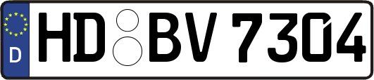HD-BV7304