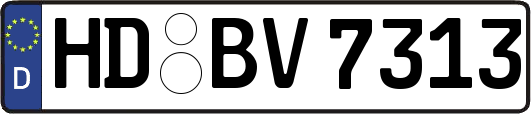 HD-BV7313