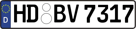 HD-BV7317