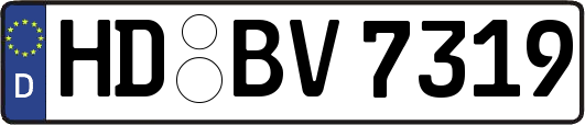 HD-BV7319
