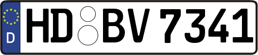 HD-BV7341