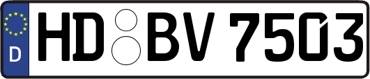 HD-BV7503
