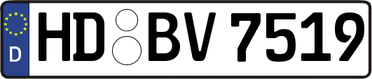 HD-BV7519