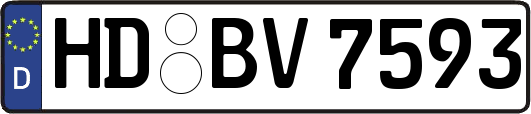 HD-BV7593