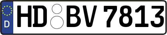 HD-BV7813