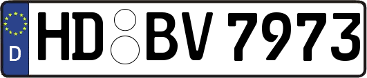 HD-BV7973