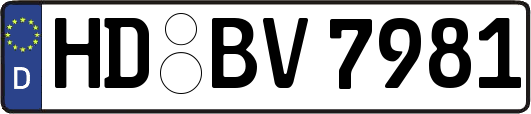 HD-BV7981