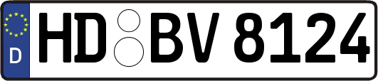 HD-BV8124