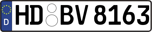 HD-BV8163