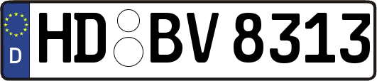 HD-BV8313