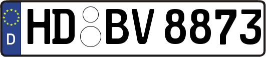 HD-BV8873
