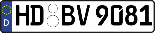 HD-BV9081