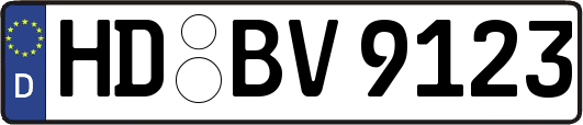 HD-BV9123