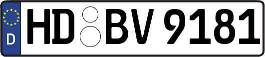 HD-BV9181