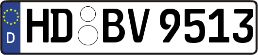 HD-BV9513