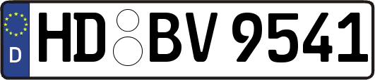 HD-BV9541